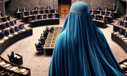 جلسه ویژه شورای ملی در مورد تغییر روند پناهندگی برای زنان افغانستانی